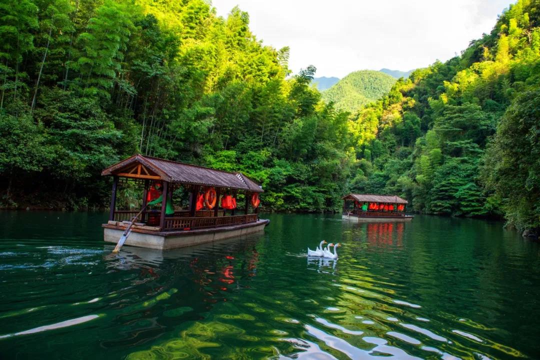 2019年浏阳春节旅游攻略丨吃喝玩乐购全给您"佩奇"