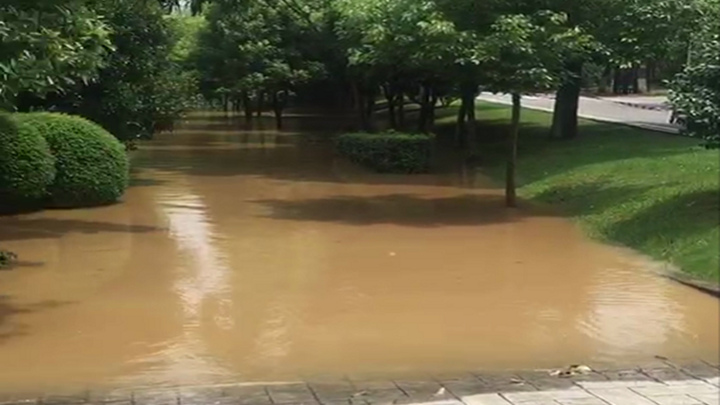 橘子洲景区亲水步道处,水位持续上涨。