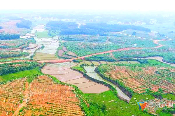 岳阳地区有多少人口_岳阳地区地图全图
